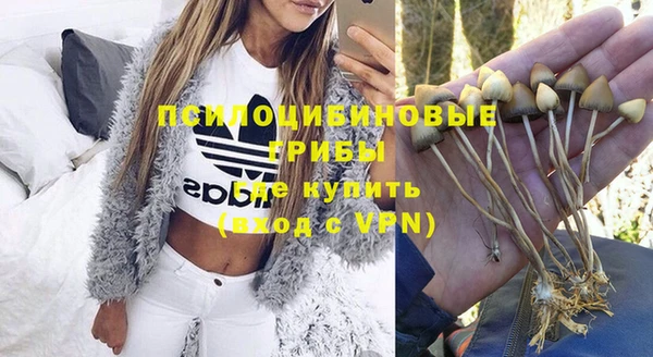MDMA Premium VHQ Алзамай
