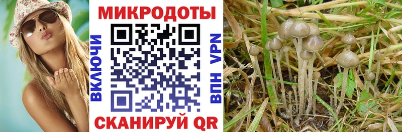 Псилоцибиновые грибы MAGIC MUSHROOMS  мега ONION  Пикалёво 